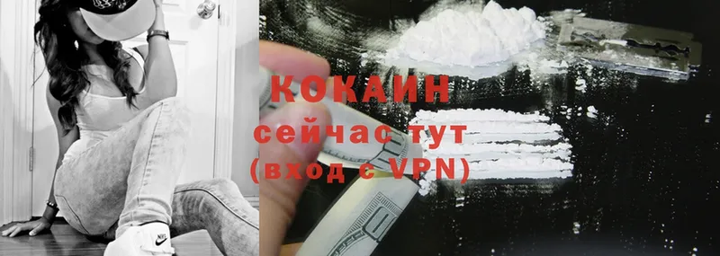 COCAIN 99%  darknet телеграм  Нижние Серги  MEGA ССЫЛКА 